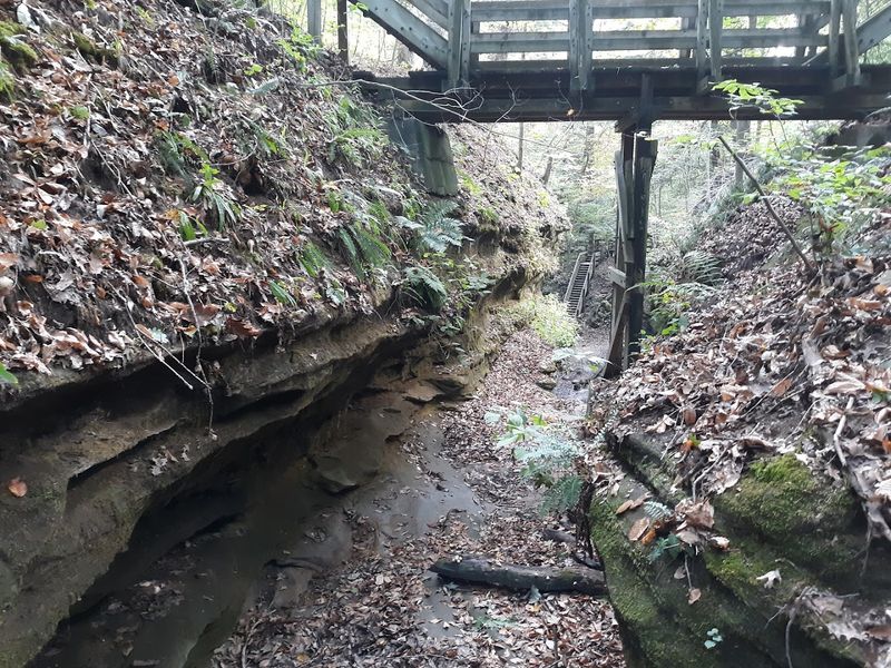 Seasonal Waterfalls That Transform the Landscape