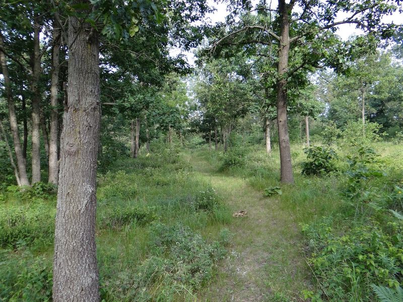 A Trail That Feels Just Right for Almost Anyone