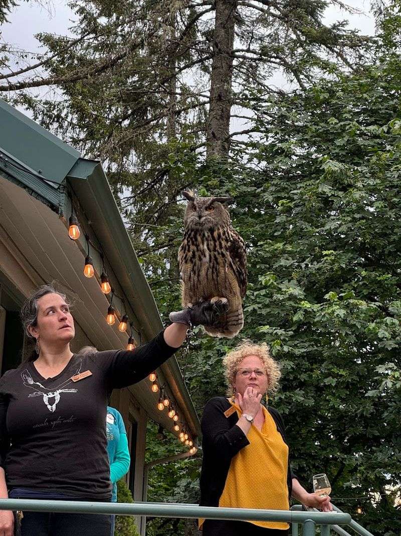 What Makes the Staff Here Genuinely Unforgettable