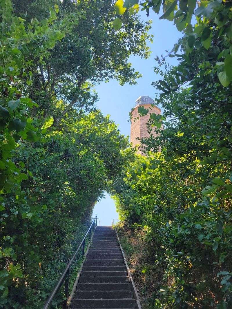 Seasonal Visits and the Best Times to Go