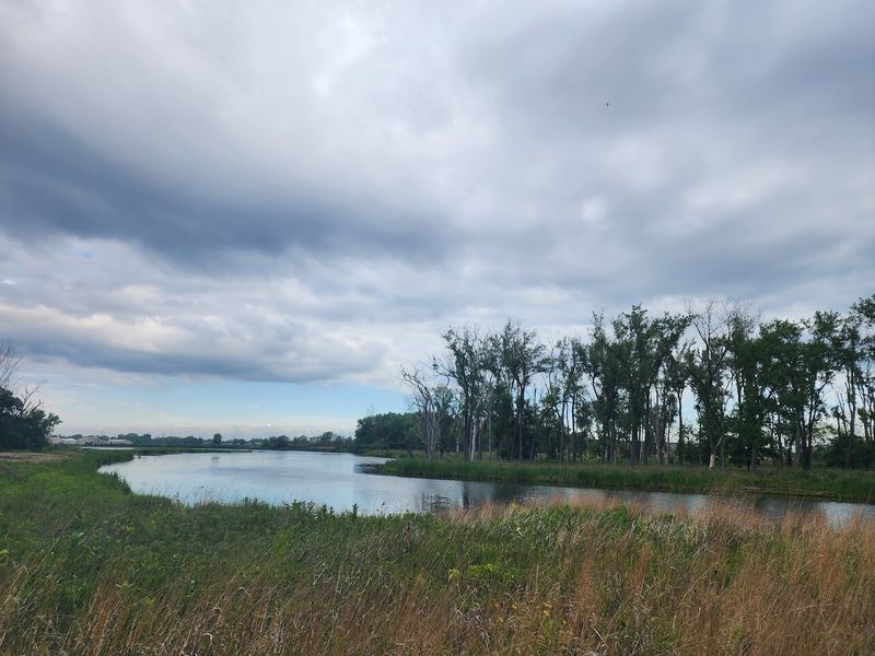 Views of the Restored Grand Calumet River That Tell a Story of Comeback
