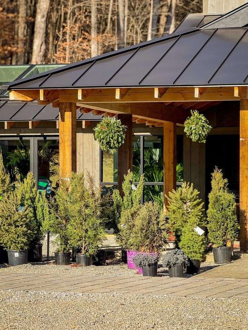 Why Coffee Tastes Better When You Are Surrounded By Plants