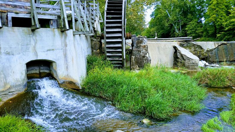Fresh-Ground Flour You Can Actually Take Home