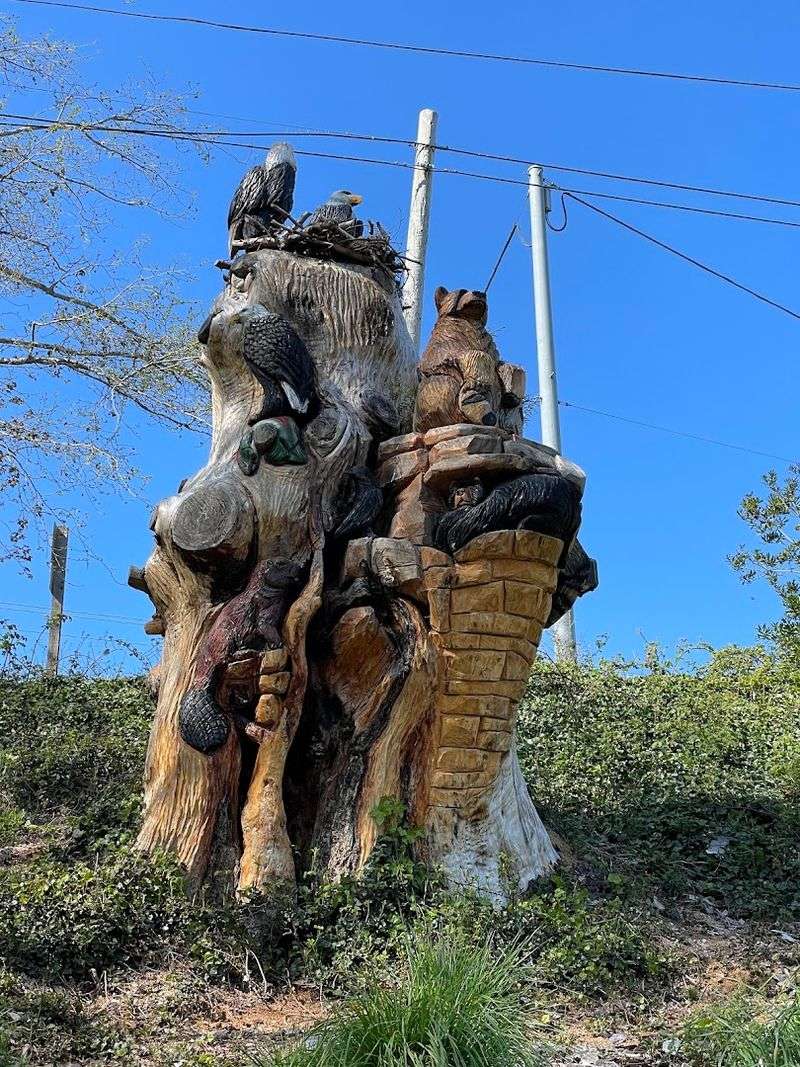 The Atmosphere That Shifts With the Light