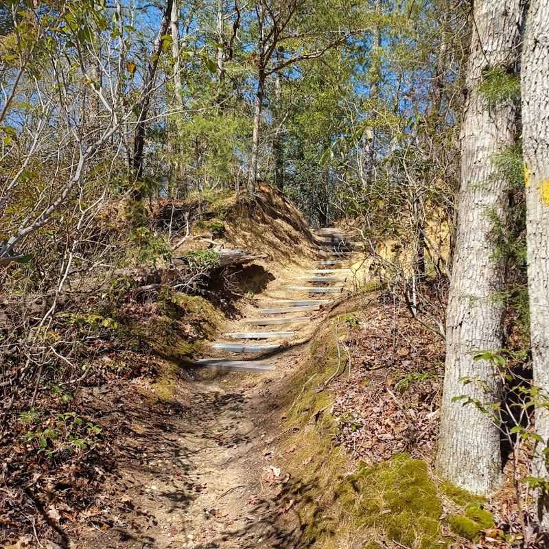 Six Miles of Trails That Actually Go Somewhere