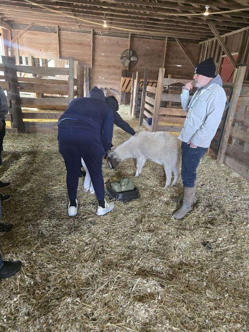 Volunteering Your Way Into Something Meaningful