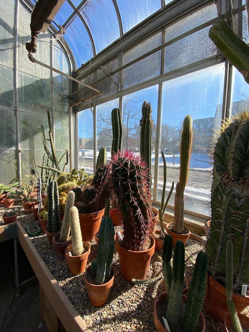 A Living Classroom That Teaches Without Feeling Like School