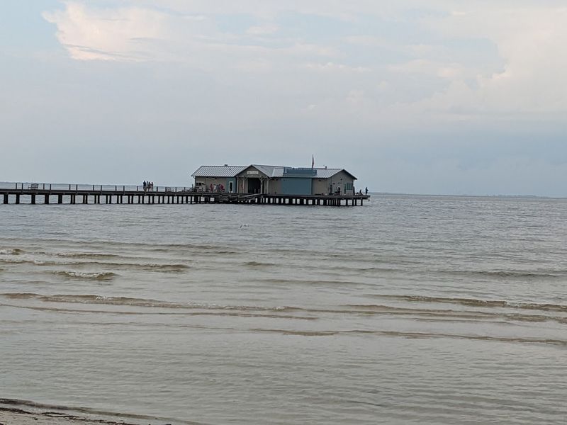 Local Catch And Gulf Flavor All Over The Menu