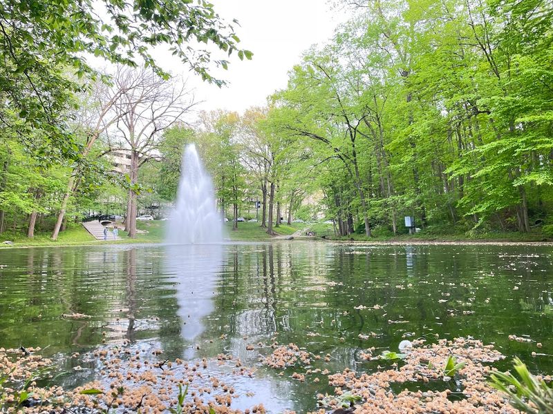 Water Features That Make You Forget You Are In A City