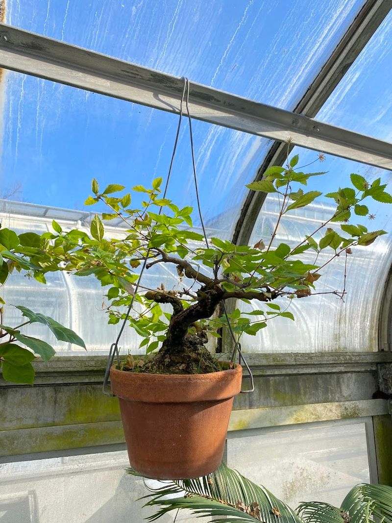 Nearby Spots That Make It a Full Day Out