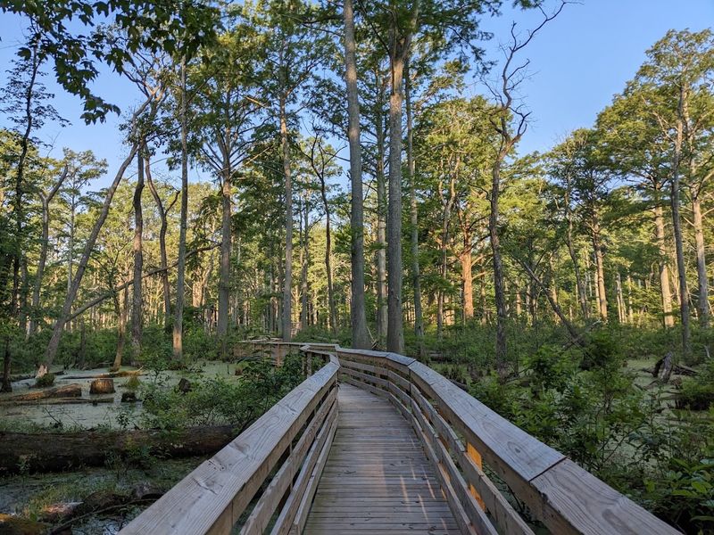 Peaceful Solitude That Is Getting Harder to Find in the Midwest