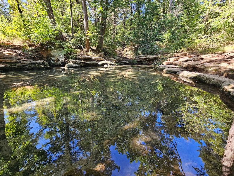 Natural Springs Keep the Magic Alive