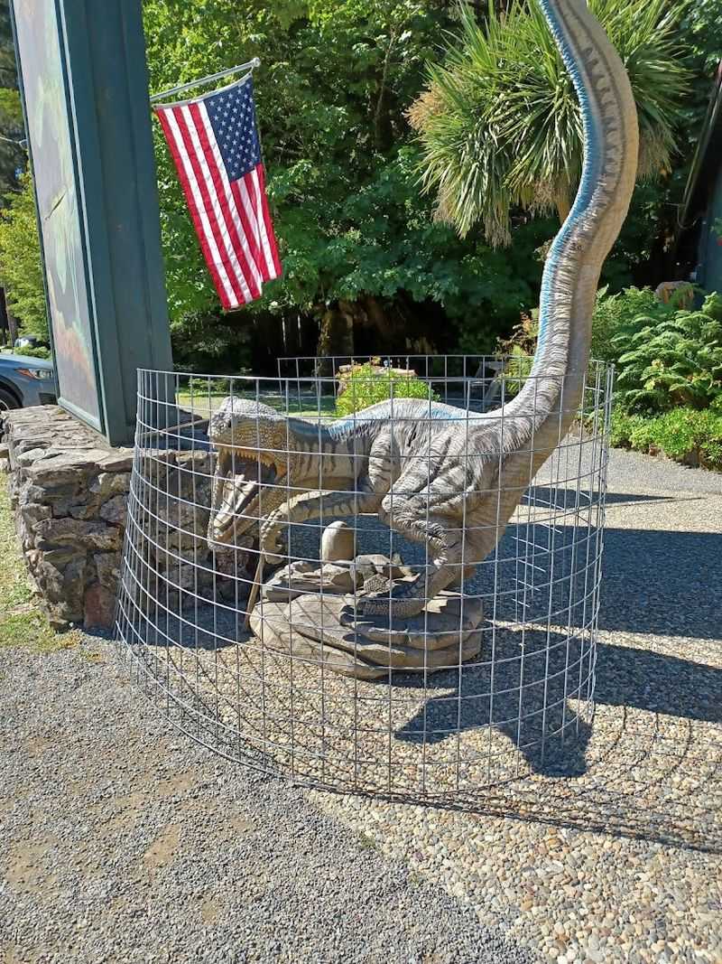 What To Expect on a Rainy Day Visit