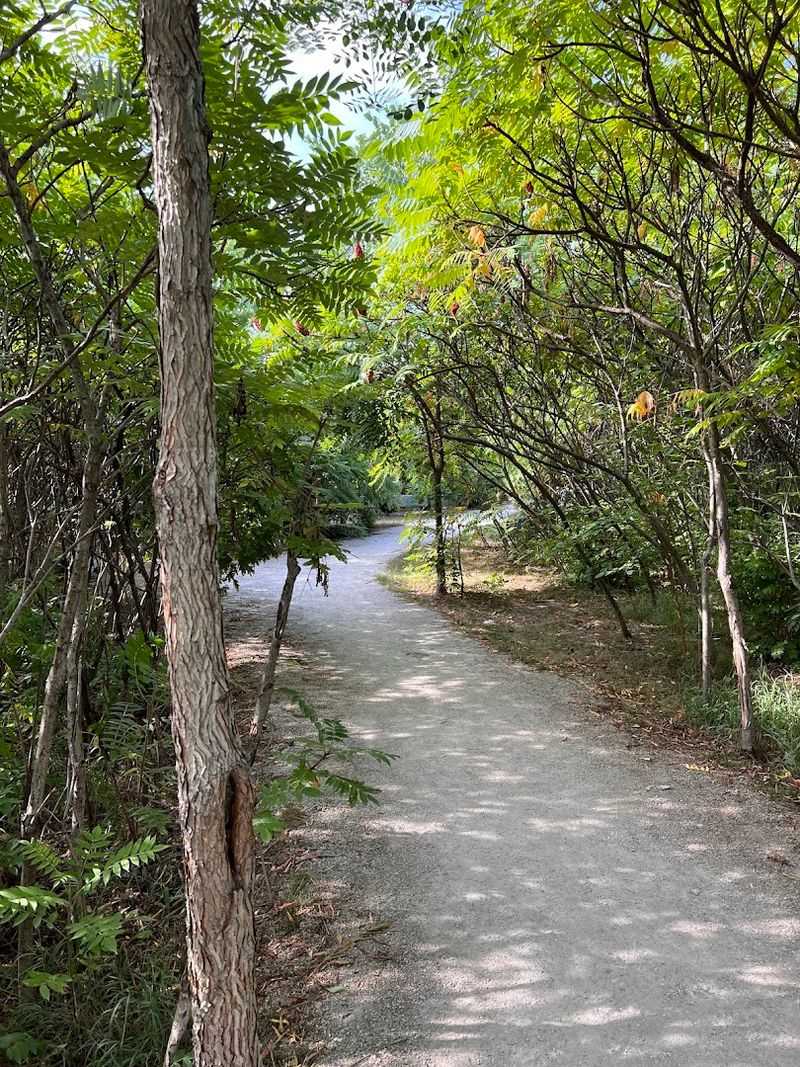 Greenery and Trail That Make It Feel Like an Actual Park