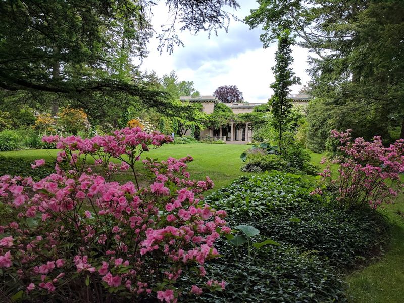 The Rhododendron and Azalea Collections That Stop You Cold