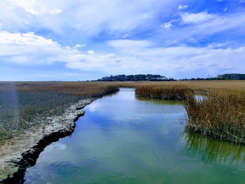 Over 400 Bird Species Recorded Here