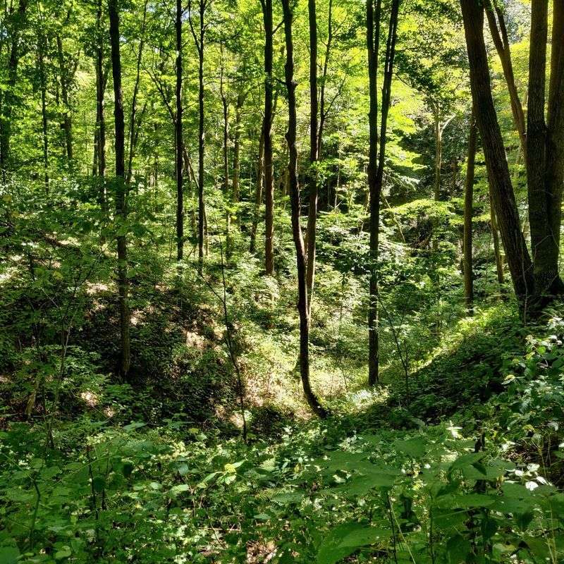 Peaceful Solitude Far From the Weekend Crowds