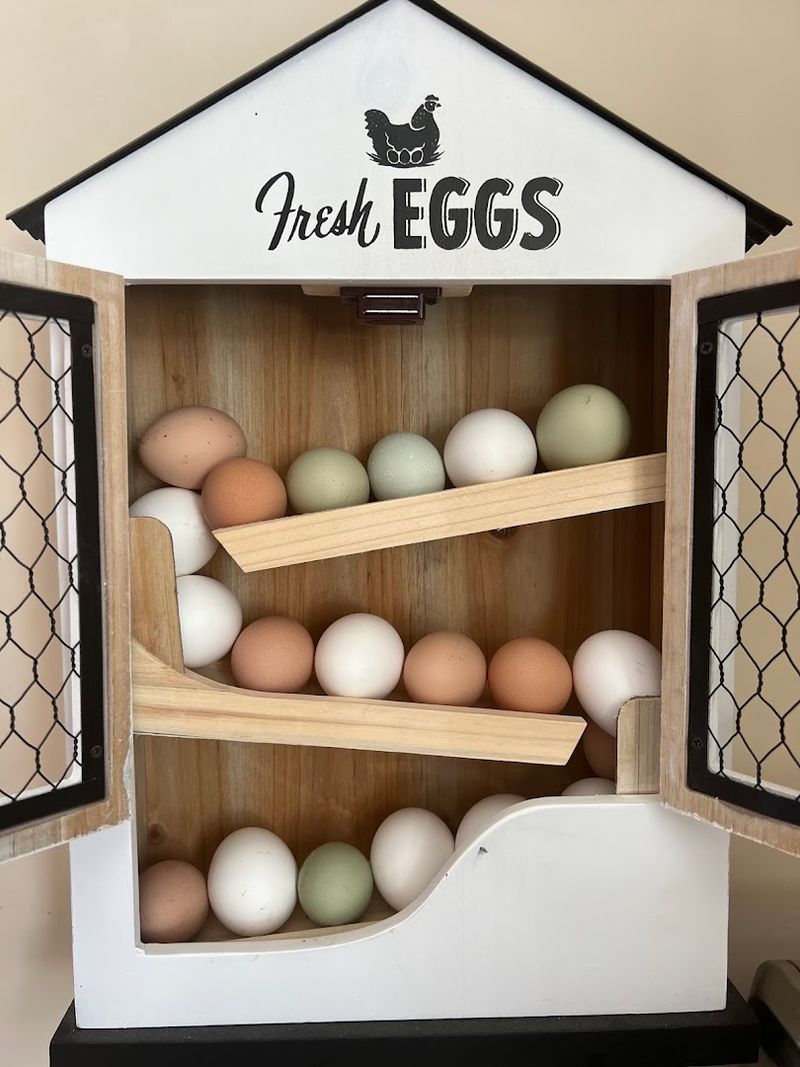 The Peaceful Rural Setting Offers a True Escape from City Life