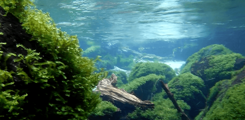Crystal Clear Water You Can Actually Touch