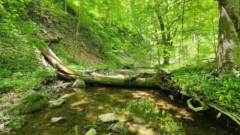 Multiple Trails for Every Kind of Explorer