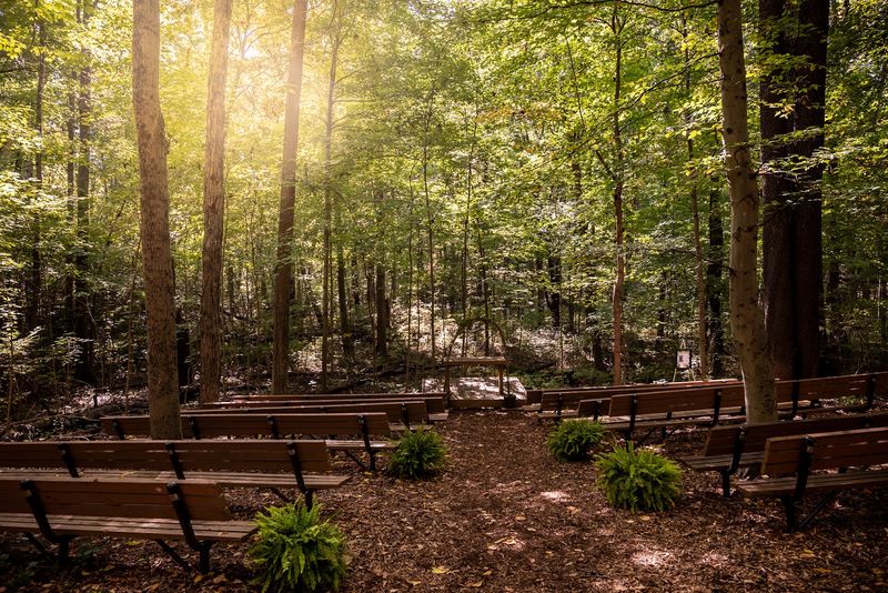 The Woodland Chapel and Auto Tour for a Truly Unique Experience
