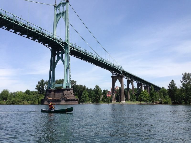 Wildlife and River Life Along the Willamette