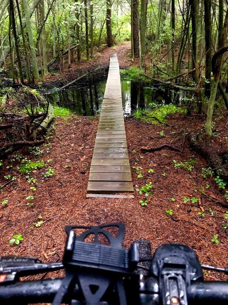 The Batona Trail: Your Gateway Into the Pines