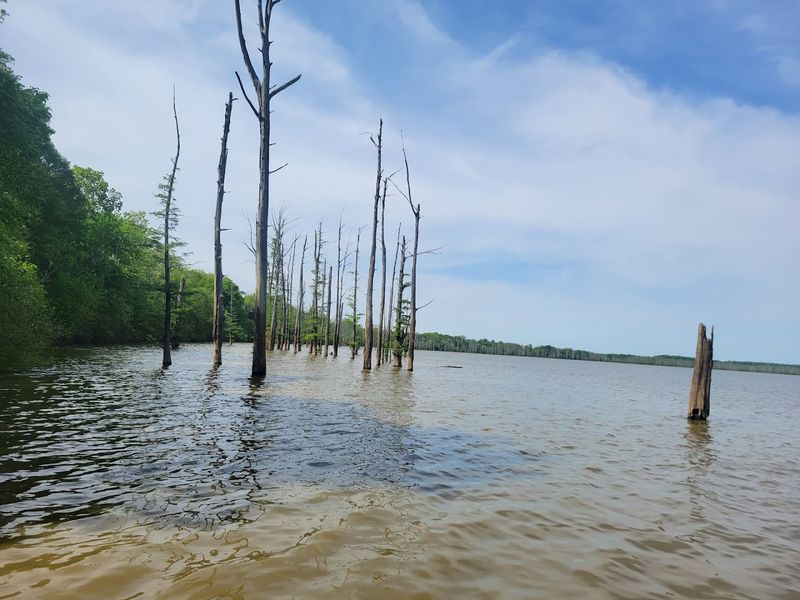 Scenery That Photographers Chase All Year Long