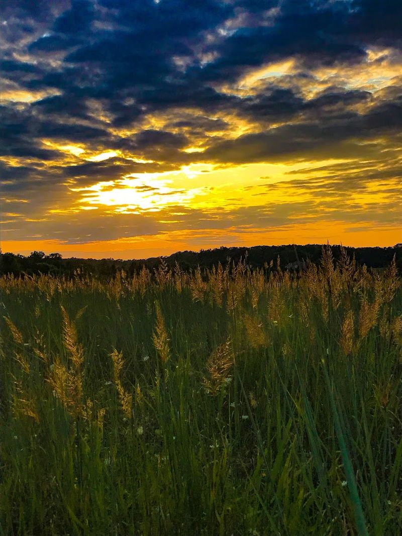 Sunrise, Sunset, and Every Golden Hour in Between