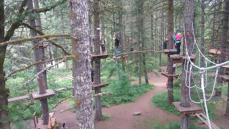 Team-Building Activities That Go Beyond the Usual