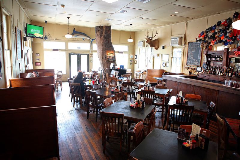 The Oak Tree That Grows Through the Dining Room