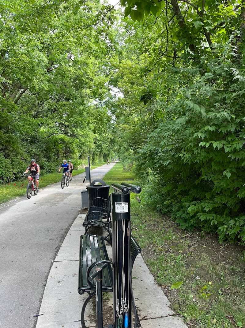 Amish Farmland Views That Feel Like Stepping Back in Time