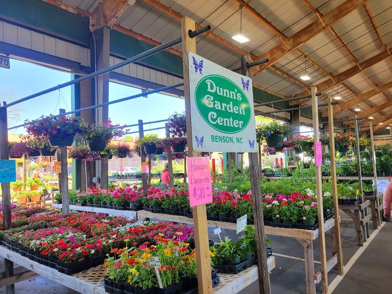 Plants, Pantry Finds, And Plenty More To Wander Through