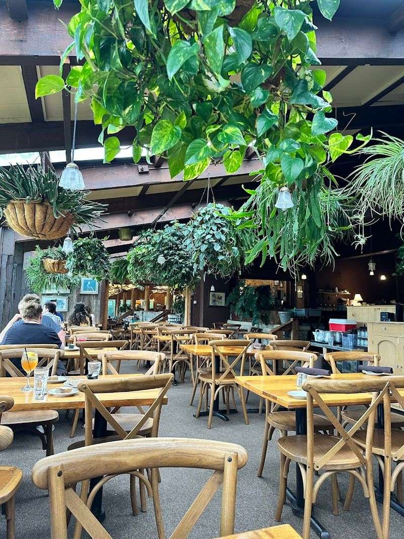 The Greenhouse Dining Room Where Wildlife Becomes Your Entertainment