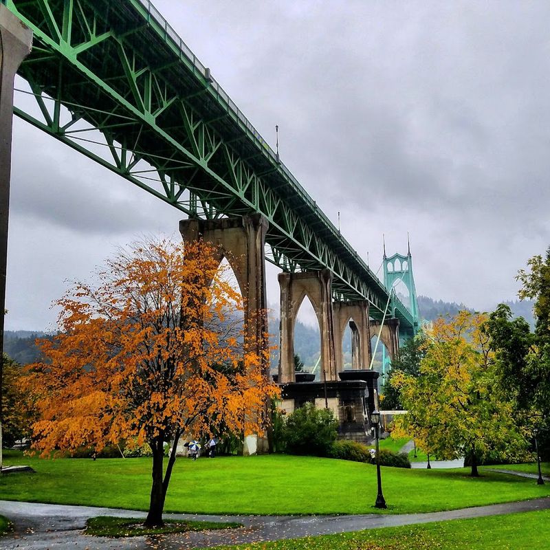 Morning Mist and the Magic Hour Light