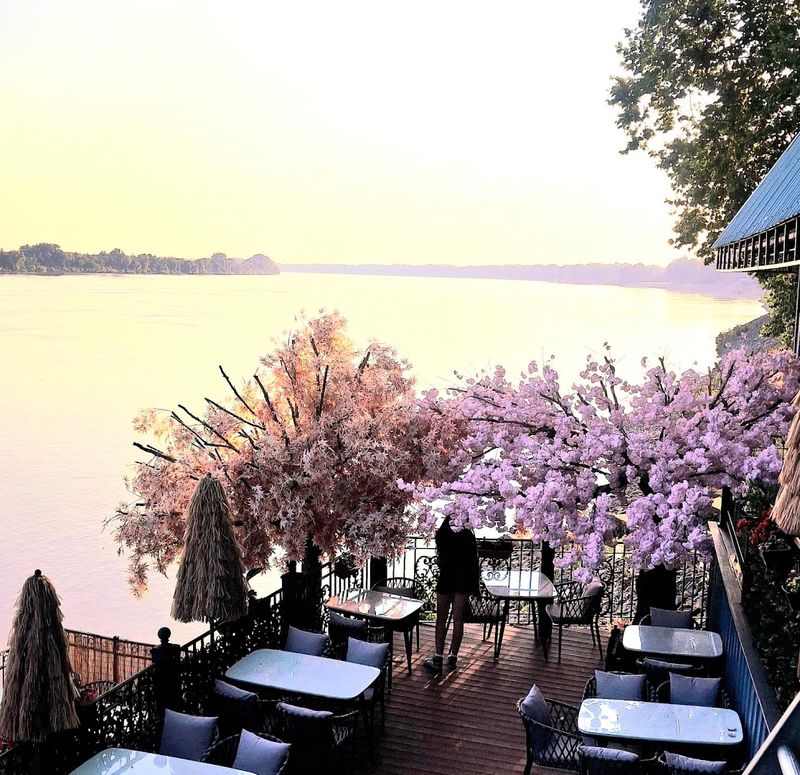 Authentic Mediterranean Flavors You Did Not Expect to Find in Indiana