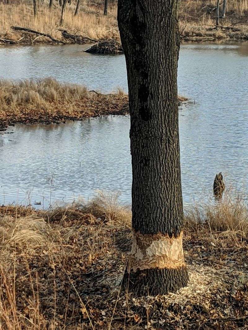 Walking an Old Railroad Bed Through Living History