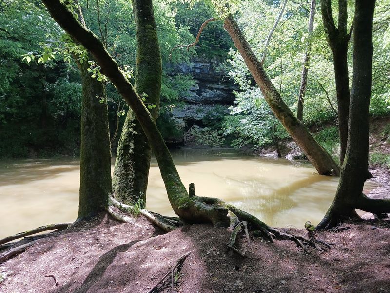 The Peaceful Solitude That Is Almost Impossible to Find Elsewhere