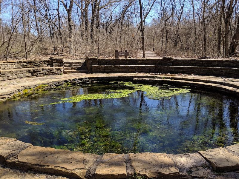 The Spring Itself Is Genuinely Alive and Bubbling