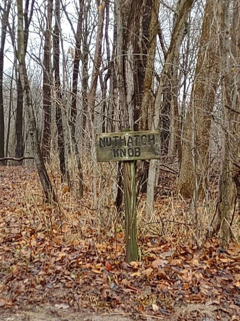 Camp Cullom's Broader Outdoor Experience Beyond the Loop