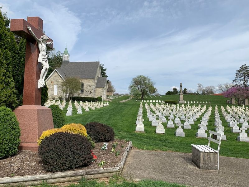 Stone Statues That Hold Their Ground in Every Season