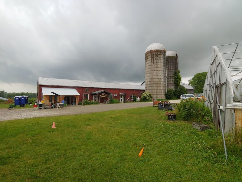 Why One Pie Stop Can Turn Into A Bigger Food Run