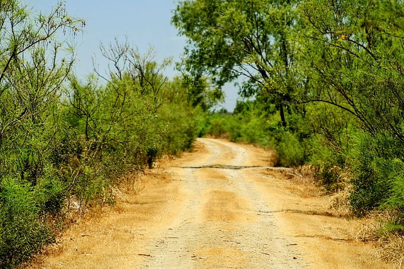 Why Mitchell Lake Deserves More Attention Than It Gets