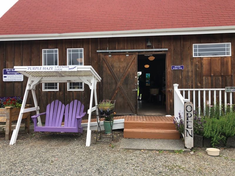 The Gift Shop Worth Browsing