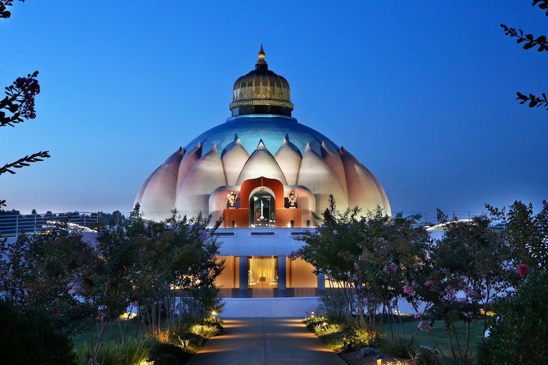 The Lotus Flower Design That Will Make Your Jaw Drop