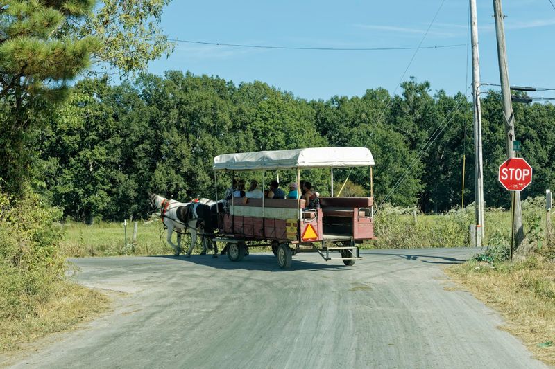 The Wagon Ride That Makes Amish Country The Event