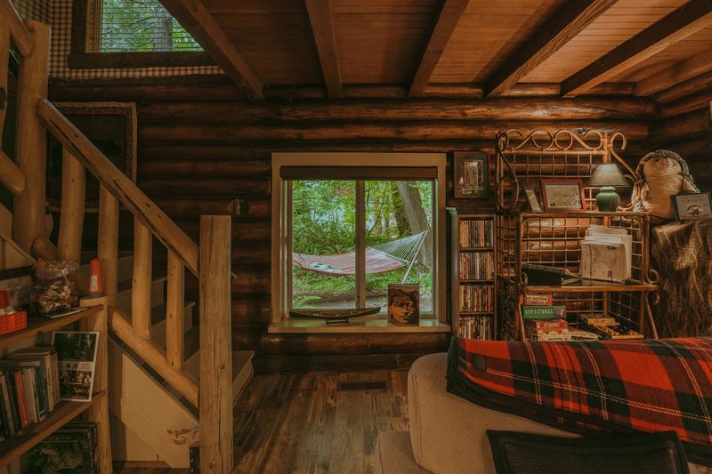 The Forest Setting That Surrounds You Completely