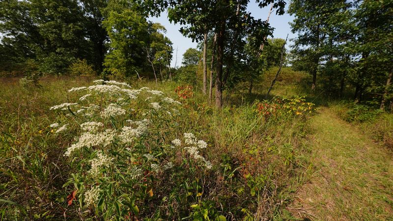 Seasonal Beauty That Changes Every Single Visit