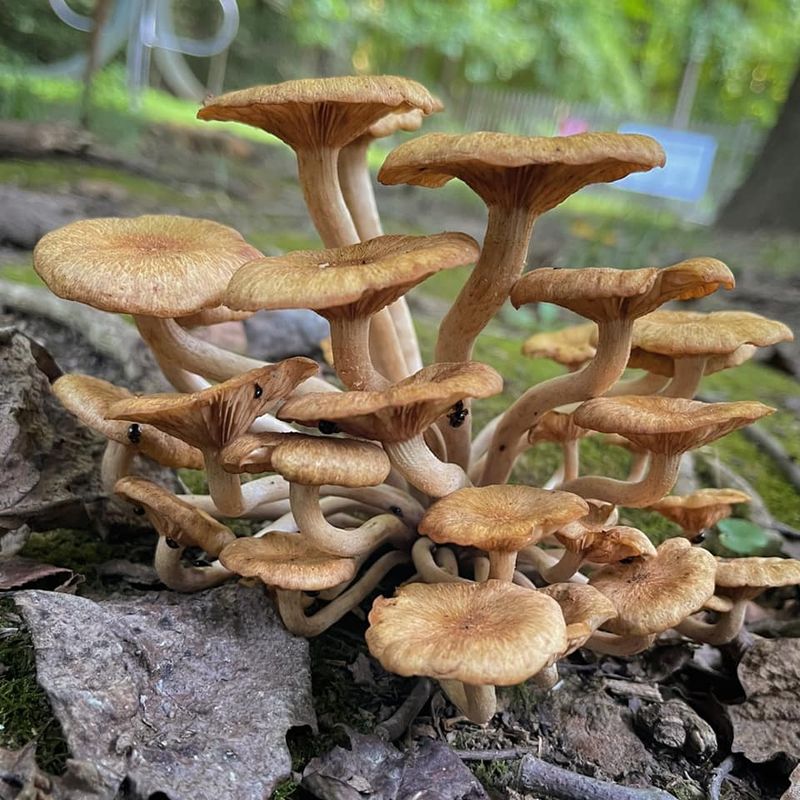 Nearby Attractions That Make the Visit a Full Day Out