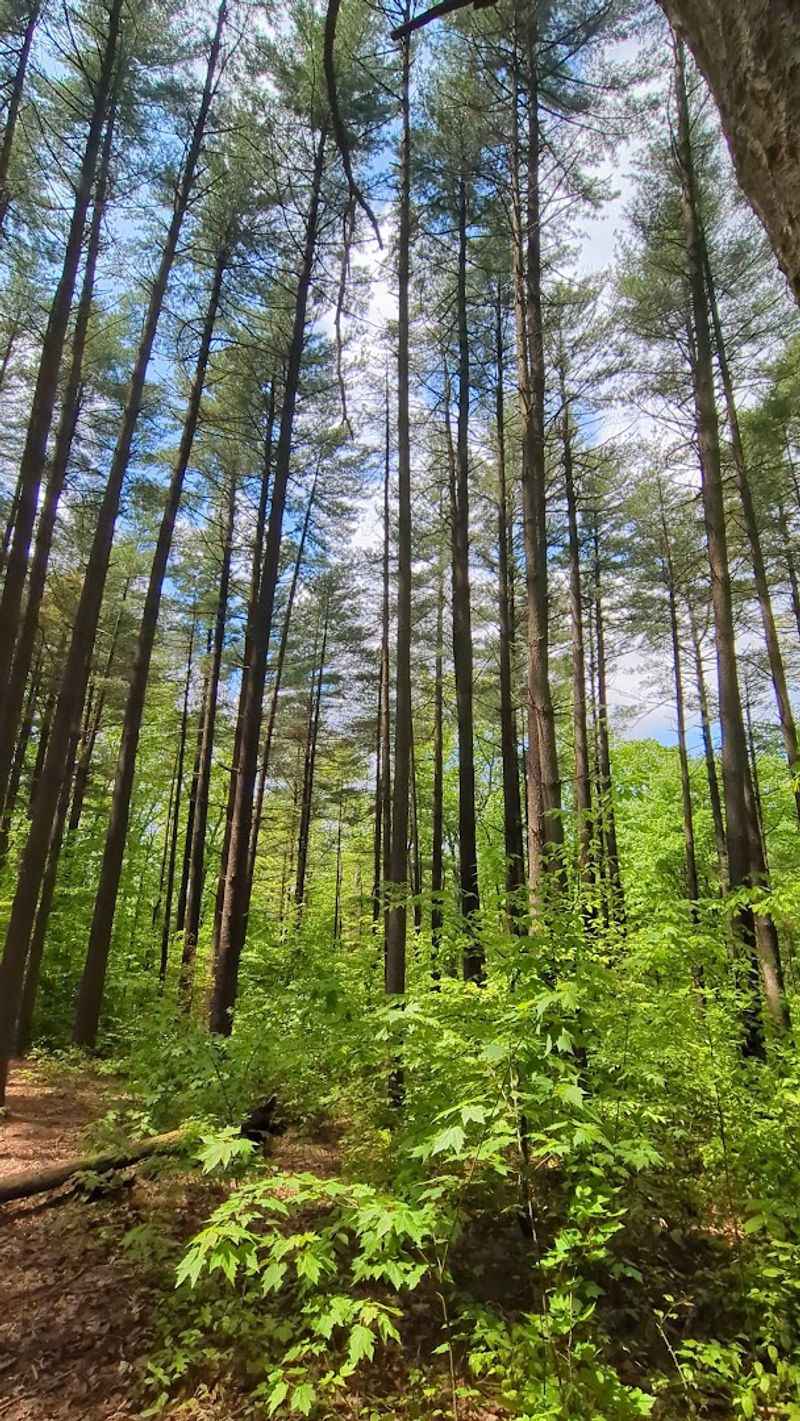 The Grubb Ridge Loop That Gets You There